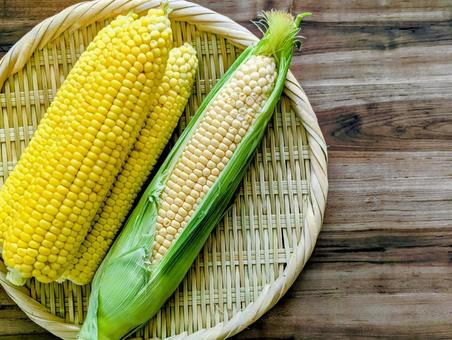 採れたての夏野菜(とうもろこし)4 採れたての夏野菜(とうもろこし)4 夏,夏野菜,とうもろこしの写真素材