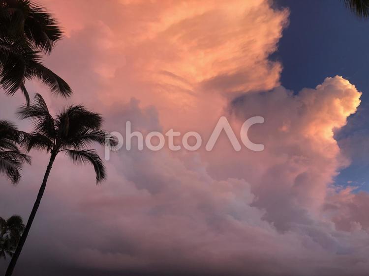 ハワイの夕日 日暮れ,太陽,浜の写真素材