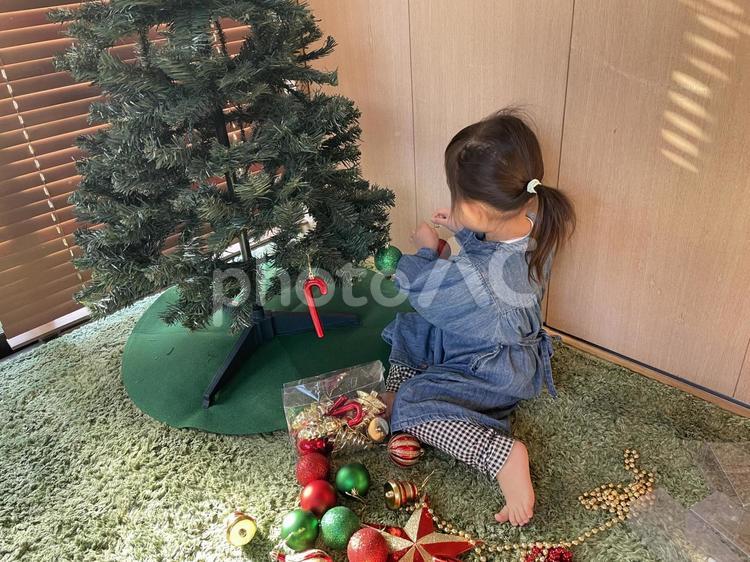 クリスマスツリー　オーナメントを飾る女の子 クリスマスツリー,クリスマス,オーナメントの写真素材