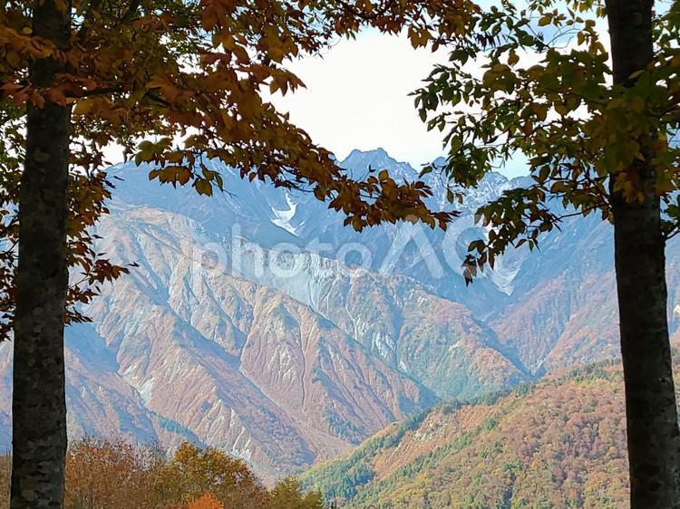 秋の北アルプス 北アルプス,日本アルプス,秋の写真素材