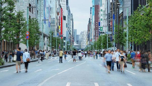 銀座中央通り 銀座中央通りの写真