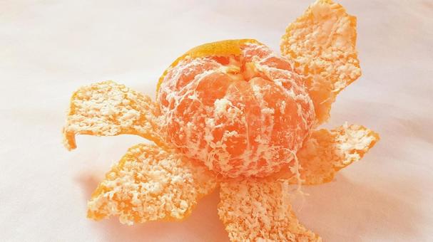 皮をむいたみかん・1 みかん,蜜柑,果物の写真素材