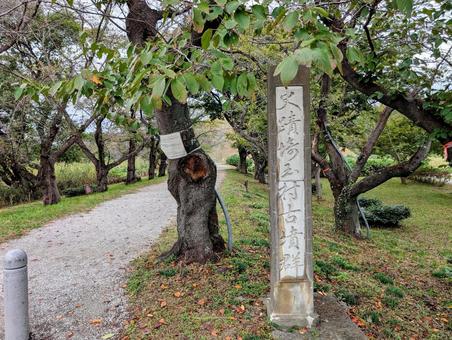 埼玉古墳群 埼玉古墳群の写真