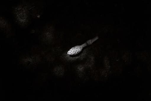 タイサンボクの実(白黒) タイサンボクの実(白黒) タイサンボク,泰山木,実の写真素材