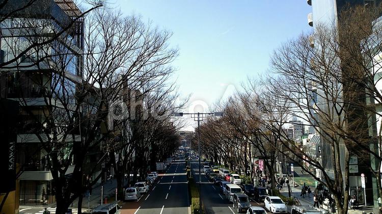 表参道の街並み ビル,光,冬の写真素材