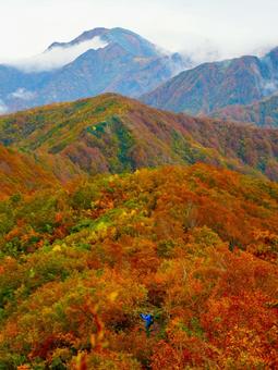 紅葉に囲まれての写真