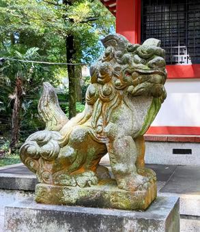 山神社の狛犬 2025 山神社の狛犬 2025 山神社,狛犬,境内の写真素材