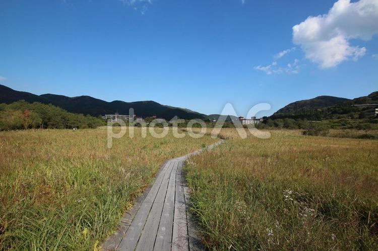 箱根仙石原 箱根,仙石原,秋の写真素材