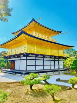 金閣寺 金閣寺の写真