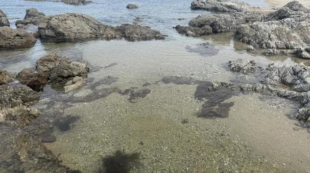 新潟県の沿岸沿い3 新潟県の沿岸沿い3の写真