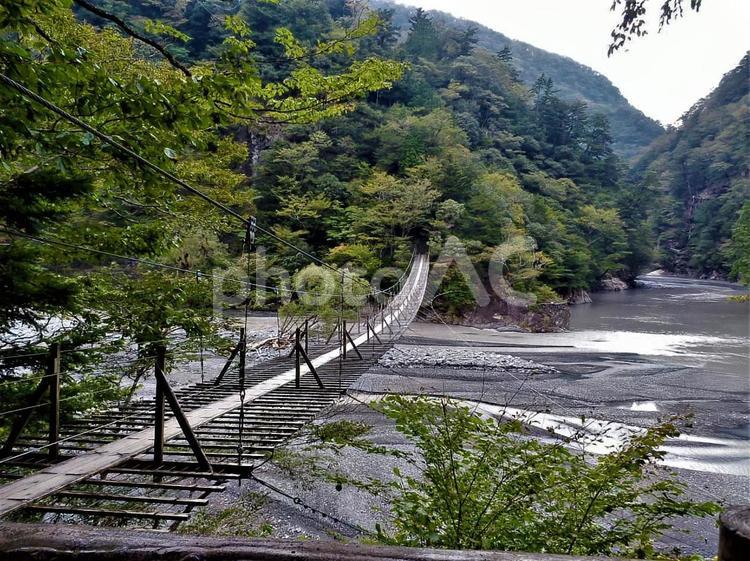 寸又峡　夢の吊橋 吊橋,寸又峡,川の写真素材