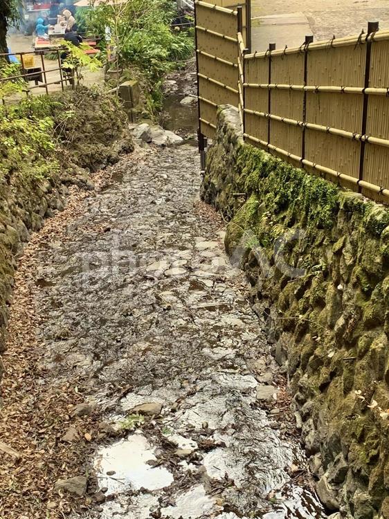 湯河原温泉　不動滝茶屋そばの景色 緑,自然,マイナスイオンの写真素材