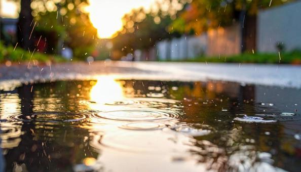 水たまりに落ちる雨粒の写真