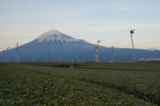 富士山 富士山 富士山,静岡,山の写真素材