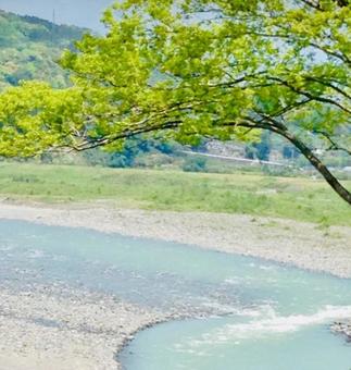 川の写真