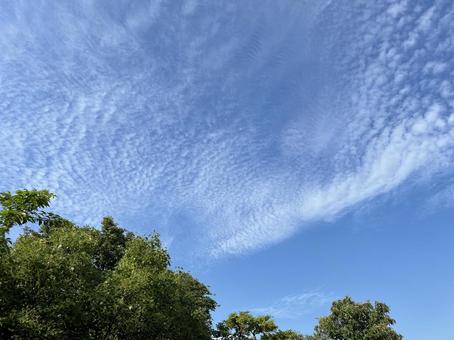 空 空の写真