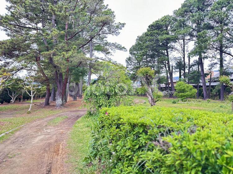 黒潮公園　公園歩道　三輪崎 休日,新宮市三輪崎,黒潮公園の写真素材