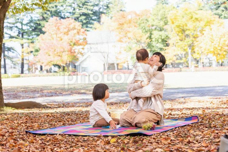 秋の公園で遊ぶ家族・ファミリー 家族,ピクニック,行楽の写真素材