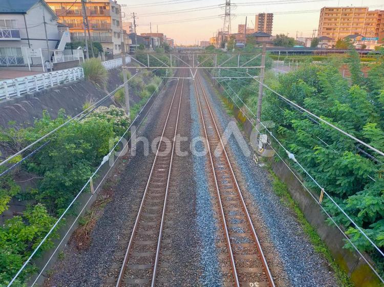 夕暮れの線路 線路,自然,夕暮れの写真素材