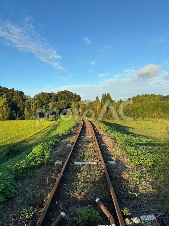 雨上がりの午後のいすみ鉄道線路東向き いすみ鉄道,踏切,千葉県の写真素材