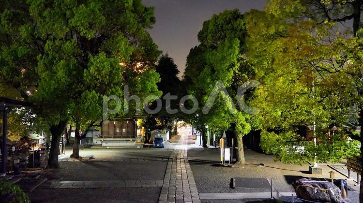 亀戸の夜景・香取神社（東京都・江東区） 夜景,亀戸香取神社,日本文化の写真素材
