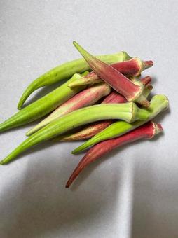 オクラ 赤オクラ 夏野菜 ねばねば オクラ 赤オクラ 夏野菜 ねばねば オクラ,赤オクラ,夏野菜の写真素材