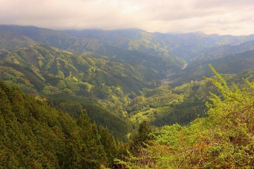 Photo, mountain, shikoku, green, 