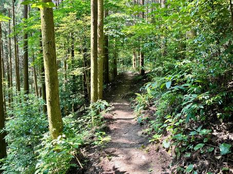 Tobosan Mountain Trail 1, JPG