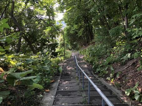 木漏れ日階段、降り 木漏れ日,夏,夏休みの写真素材