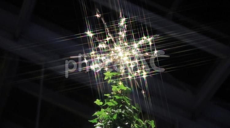 冬のイルミネーション　2024　61 クリスマス,イルミネーション,クリスマスツリーの写真素材