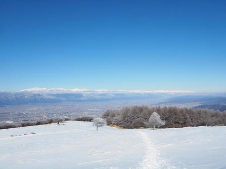 雪景色・冬の登山道(高ボッチ山) 雪景色・冬の登山道(高ボッチ山)の写真