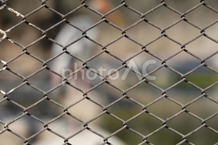 インド・動物園のフェンス　 アジア,インド,ジュナーガルの写真素材