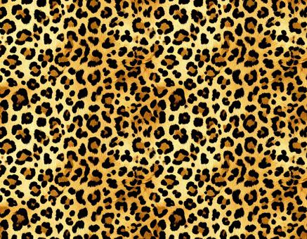 ヒョウ柄の黄金色毛並み ヒョウ柄の黄金色毛並みの写真