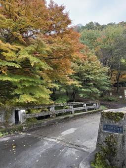 晩秋の牛伏川フランス式階段工（連岳橋） 牛伏寺,松本市,葉の写真素材