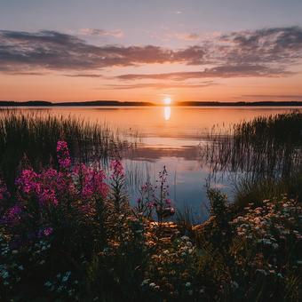 静寂に包まれた夏の湖畔 静寂に包まれた夏の湖畔の写真