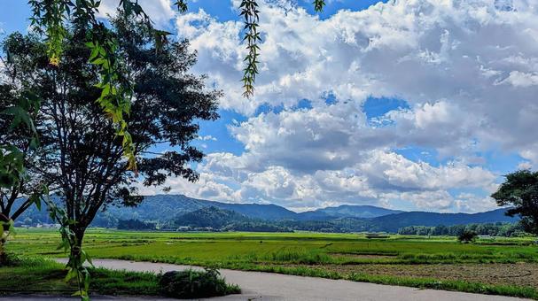 もこもこの雲が浮かぶ夏の里山 もこもこの雲が浮かぶ夏の里山 田んぼ,田園,田園風景の写真素材
