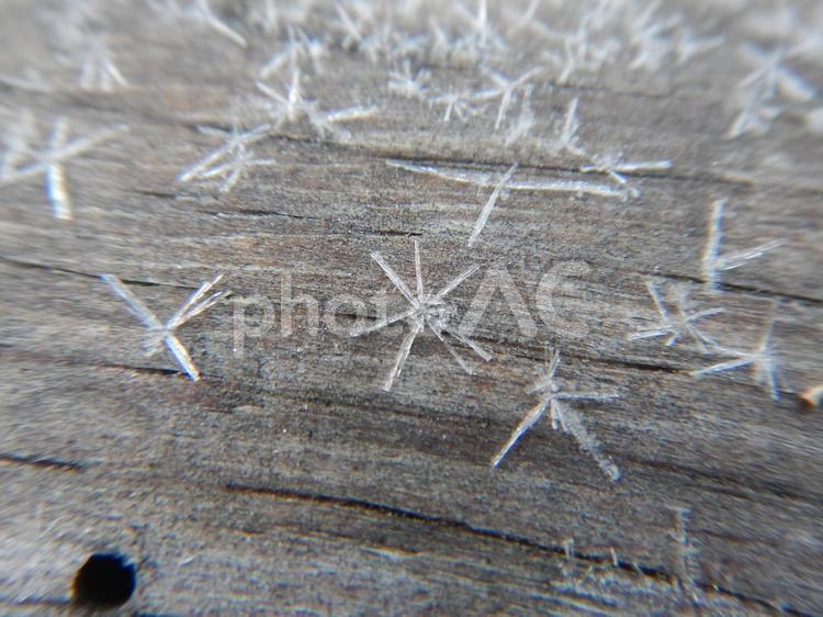 木の板についた霜の結晶 霜,雪,氷の写真素材