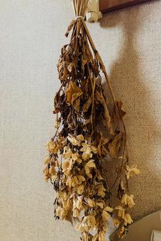 ドライフラワー 花アート 花装飾 ドライフラワー 花アート 花装飾の写真