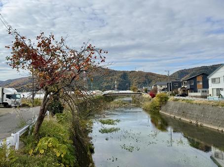 11月末の昼間　晩秋の福井県の郊外の景色 11月末,晩秋,福井県の写真素材