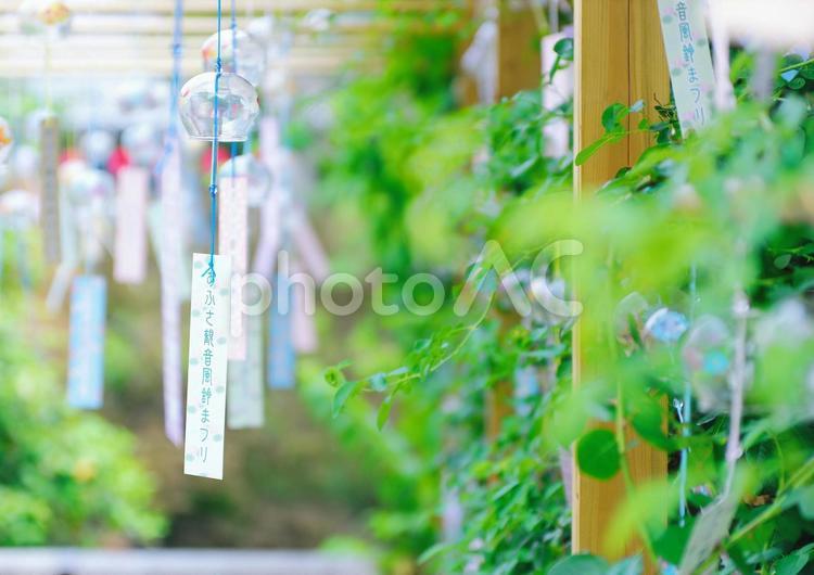 奈良県　おふさ観音 奈良,おふさ観音,風鈴寺の写真素材