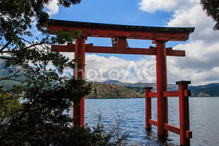 箱根神社　平和の鳥居 箱根神社,平和の鳥居,芦ノ湖の写真素材