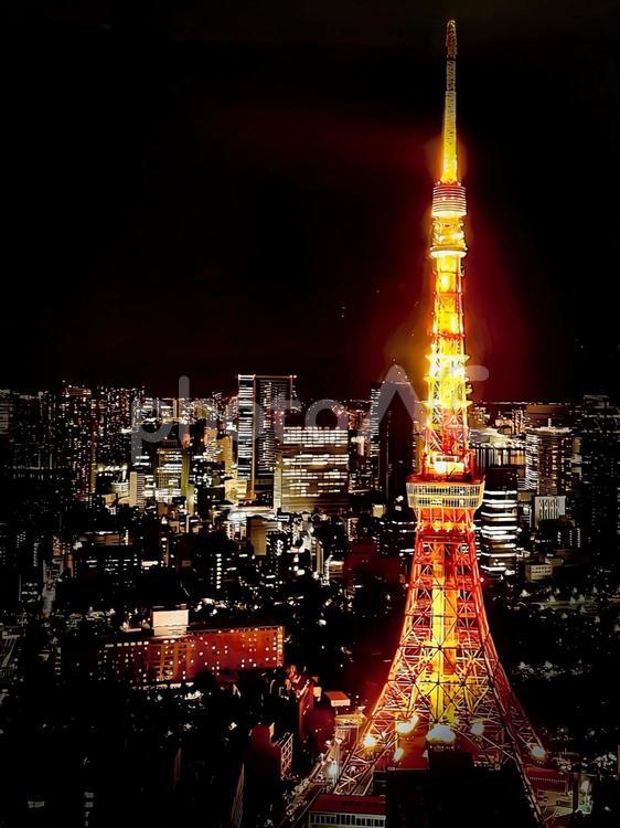 夜の東京タワーと輝く都会の夜景 東京,東京タワー,夜景の写真素材