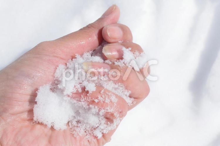 雪を握りしめて 指,手,雪の写真素材
