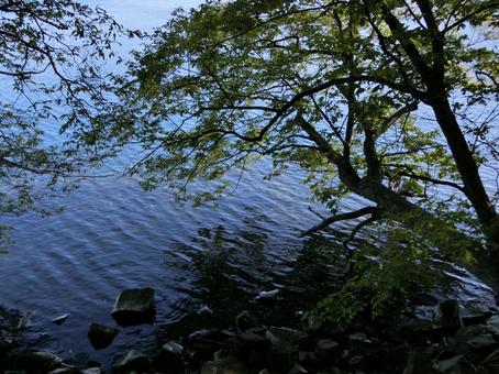 中島からの洞爺湖 風景,自然,木の写真素材