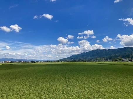 積雲と青空と山と田んぼ 積雲と青空と山と田んぼの写真