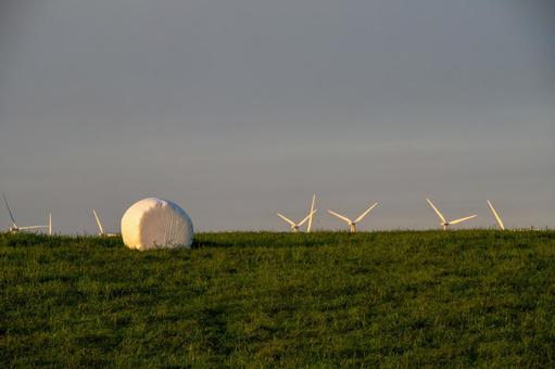 白い牧草ロールと風力発電のタービン 白い牧草ロールと風力発電のタービン 牧草ロール,風力タービン,風車の写真素材