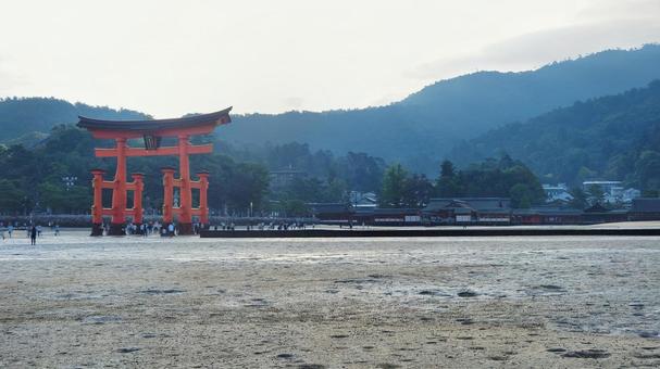 厳島神社大鳥居 厳島神社大鳥居の写真