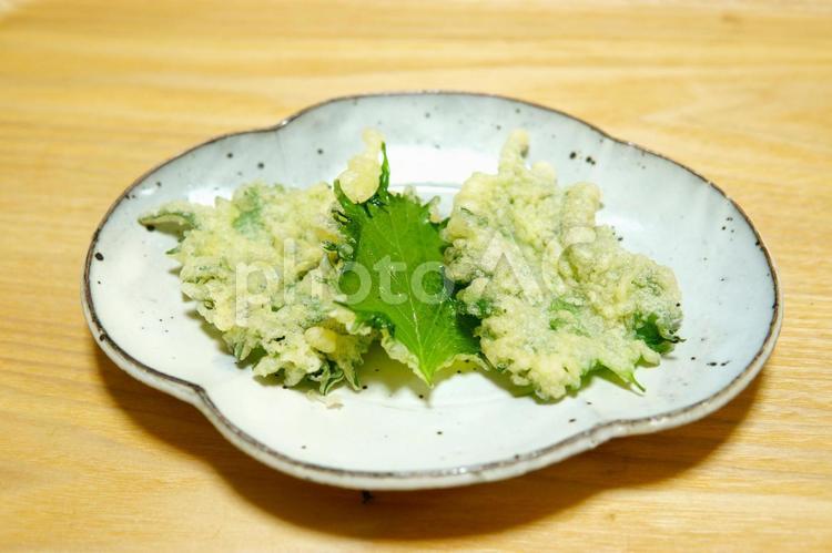 大葉の天ぷら（引き） 大葉,しそ,緑黄色野菜の写真素材