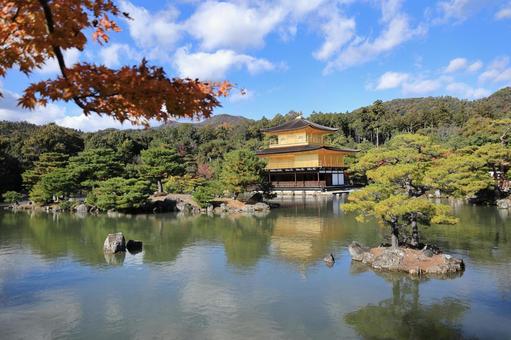 秋の金閣寺 青空,世界遺産,風景の写真素材