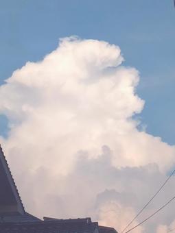 青空に浮かぶ夏の大きな雲 青空に浮かぶ夏の大きな雲の写真